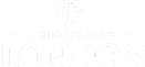 Mini logo